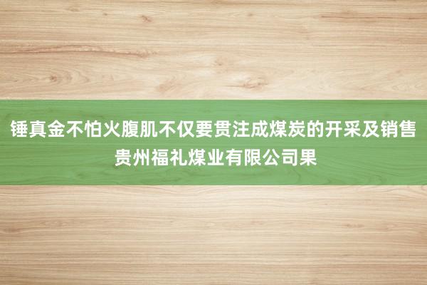 锤真金不怕火腹肌不仅要贯注成煤炭的开采及销售 贵州福礼煤业有限公司果